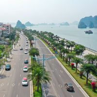 Ảnh trong bài