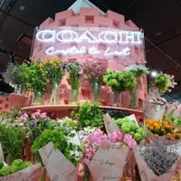 Coach