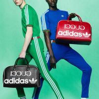 Adidas x gucci