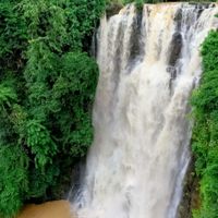 Ảnh trong bài