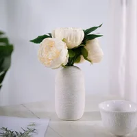 Ảnh trong bài