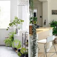 Những gợi ý để biến không gian sống của bạn thêm thú vị!