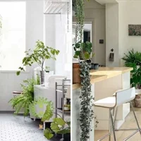 Những gợi ý để biến không gian sống của bạn thêm thú vị!