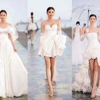 Ảnh trong bài