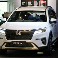 Ảnh trong bài