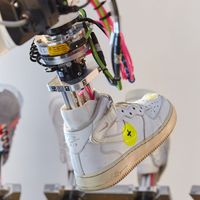 thương hiệu Nike