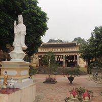 Ảnh trong bài