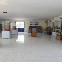Ảnh trong bài
