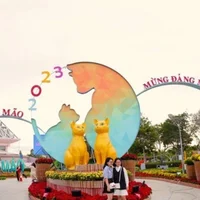 Ảnh trong bài