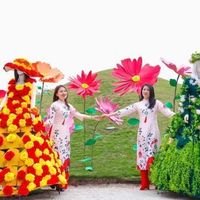 Ảnh trong bài