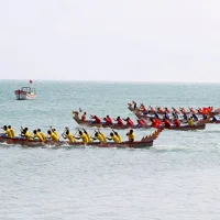 Ảnh trong bài