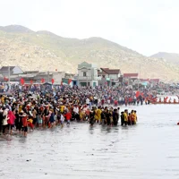 Ảnh trong bài