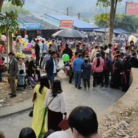 Ảnh trong bài