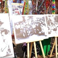 Ảnh trong bài