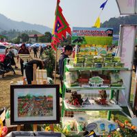 Ảnh trong bài