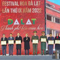Ảnh trong bài