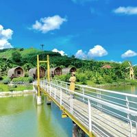Ảnh trong bài