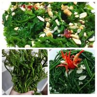 Ảnh trong bài