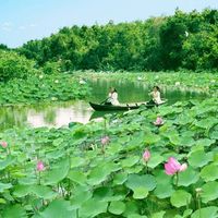 Ảnh trong bài