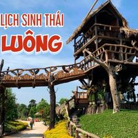 Ảnh trong bài