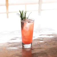 Cocktail màu hồng với trang trí có gai nhọn.