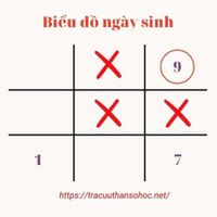 so-9-trong-bieu-do-ngay-sinh-3.jpg