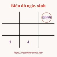 so-9-trong-bieu-do-ngay-sinh-4.jpg