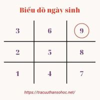 so-9-trong-bieu-do-ngay-sinh.jpg
