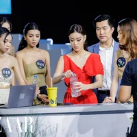 Ảnh trong bài