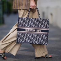 túi Dior
