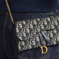 túi Dior