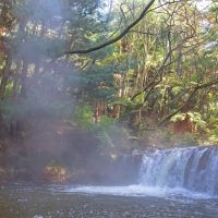 Hơi nước bốc lên từ vùng nước nóng tự nhiên của Kerosene Creek