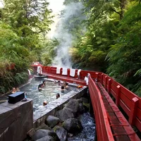 Cabana của Termas Geometricas, Panguipulli, Vùng Los Rios, Chile