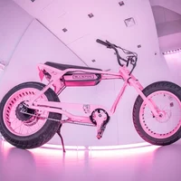 Cận cảnh xe đạp BLACKPINK giá 