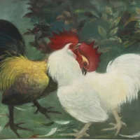 Ảnh trong bài