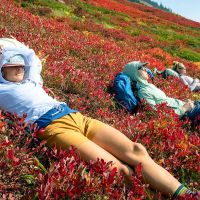 Xu hướng thời trang chống nóng 