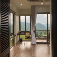 Ảnh trong bài