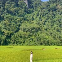 Ảnh trong bài