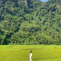 Ảnh trong bài
