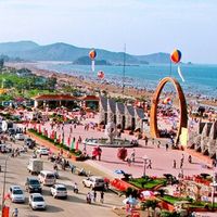Ảnh trong bài