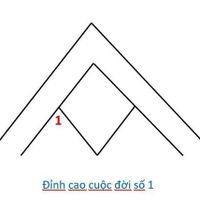 4 đỉnh cao của đời người 