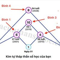 4 đỉnh cao của đời người 