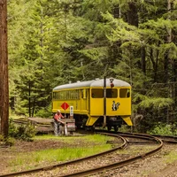 Quán bar Glen Blair của California nằm giữa rừng Redwood
