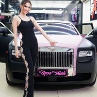 Bộ sưu tập siêu xe tiền tỷ của Ngọc Trinh mà ai cũng thèm muốn