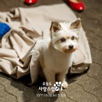 Han Hae Na khi biến thành cún con