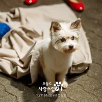 Han Hae Na khi biến thành cún con