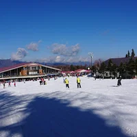 tour-nhat-ban-5n4d-ivivu-8