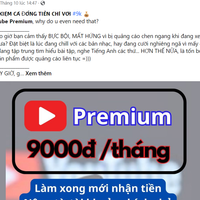 Chào bán gói cước gói YouTube Premium với giá chỉ 9.000 đồng/tháng có thể là chiêu lừa đảo trực tuyến mới mà người dùng cần cảnh giác. Ảnh chụp màn hình