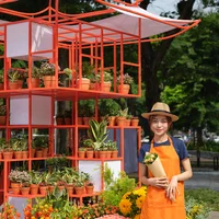 Ảnh trong bài