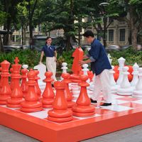 Ảnh trong bài